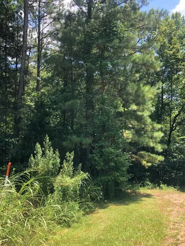 $114,500 | 0 Dogwood Lane, Abbeville, SC 29620