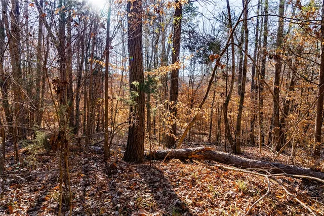 $114,500 | 0 Dogwood Lane, Abbeville, SC 29620