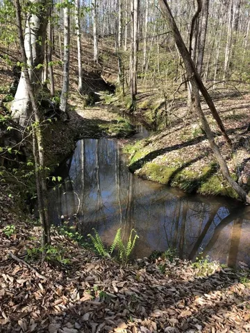 $114,500 | 0 Dogwood Lane, Abbeville, SC 29620