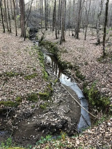 $114,500 | 0 Dogwood Lane, Abbeville, SC 29620