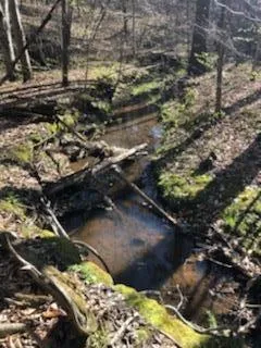 $114,500 | 0 Dogwood Lane, Abbeville, SC 29620