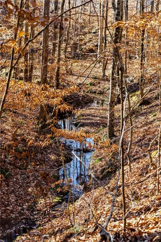 $114,500 | 0 Dogwood Lane, Abbeville, SC 29620