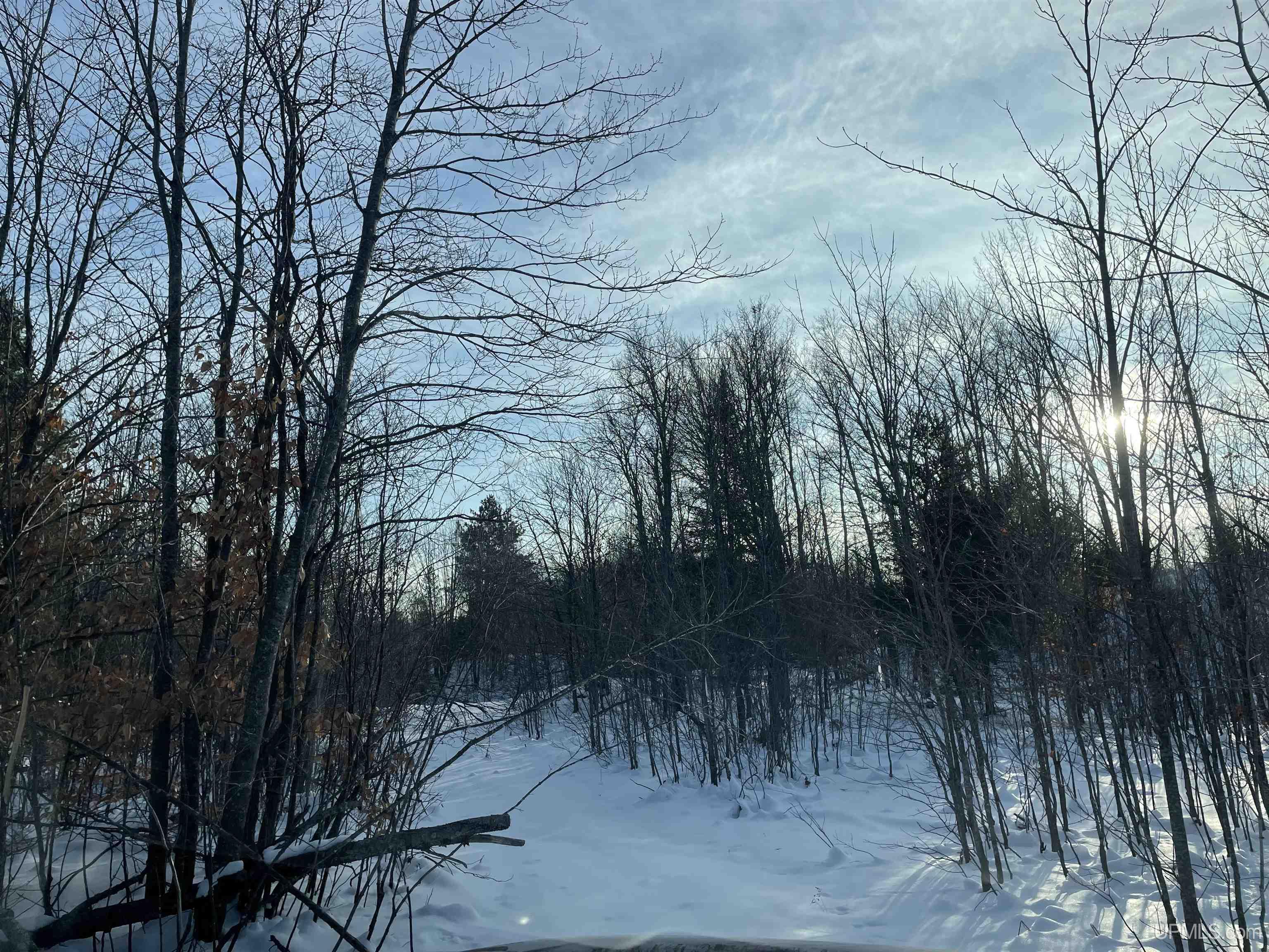 456 Rd Seney Mi 49883 Road Germfask, MI 49836 - Photo 7 of 8