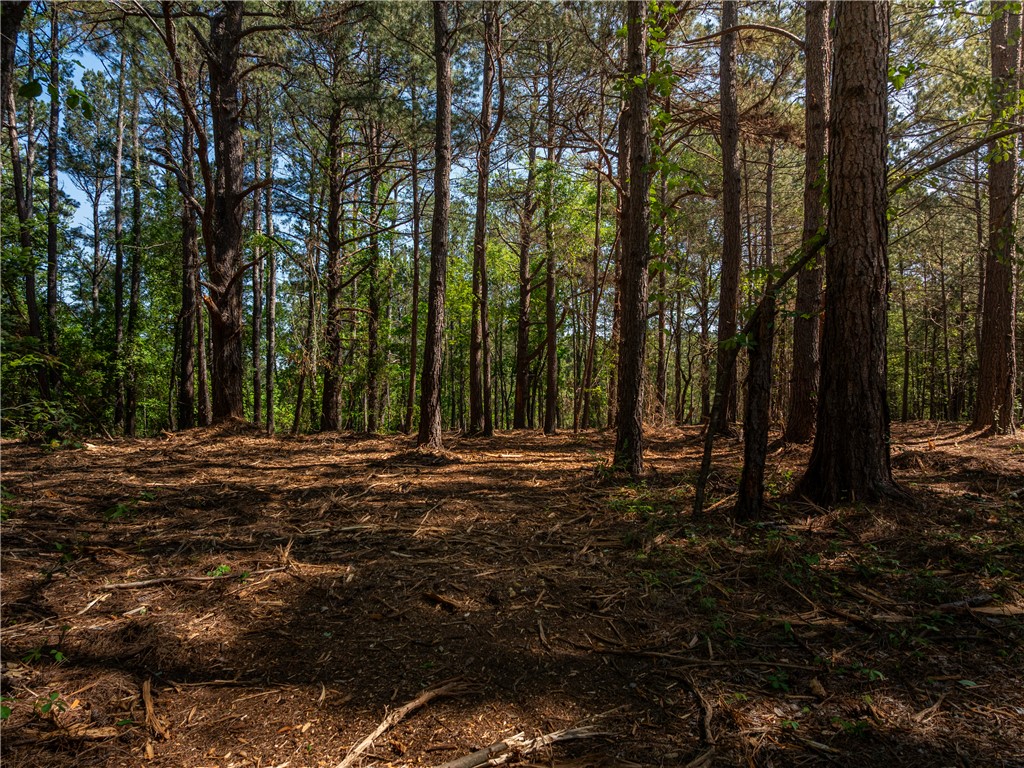 3 Moorefield Memorial Highway Liberty, SC 29657 - Photo 19 of 30