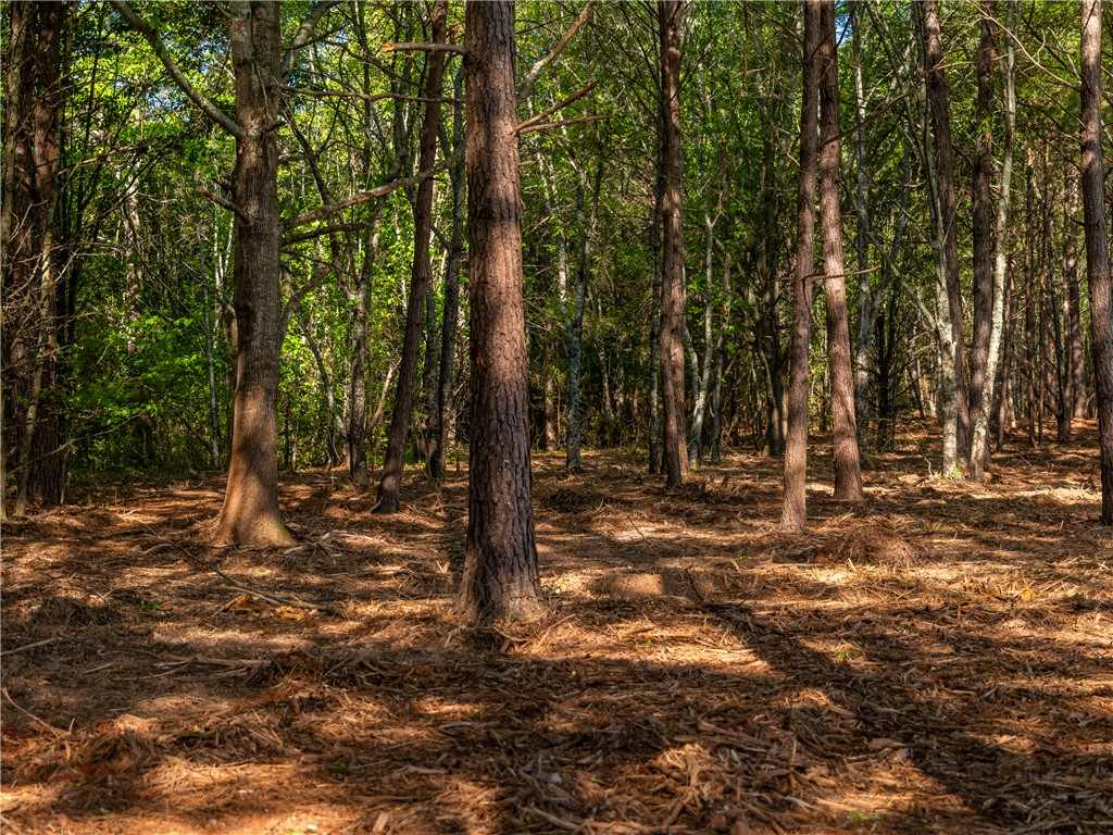 3 Moorefield Memorial Highway Liberty, SC 29657 - Photo 23 of 30