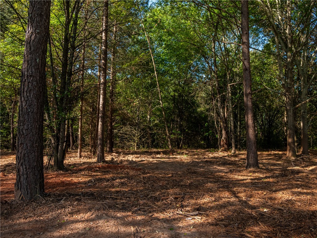 3 Moorefield Memorial Highway Liberty, SC 29657 - Photo 25 of 30