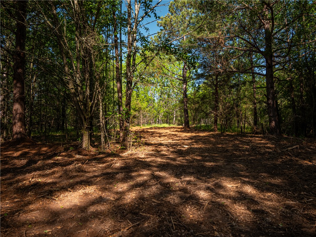 3 Moorefield Memorial Highway Liberty, SC 29657 - Photo 26 of 30