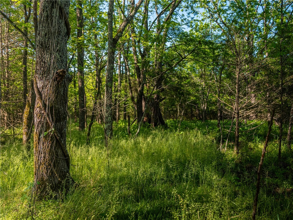3 Moorefield Memorial Highway Liberty, SC 29657 - Photo 27 of 30