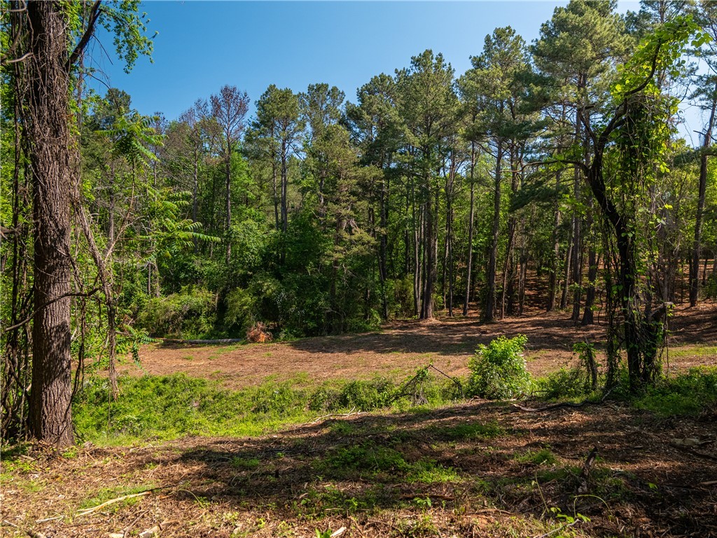 3 Moorefield Memorial Highway Liberty, SC 29657 - Photo 29 of 30