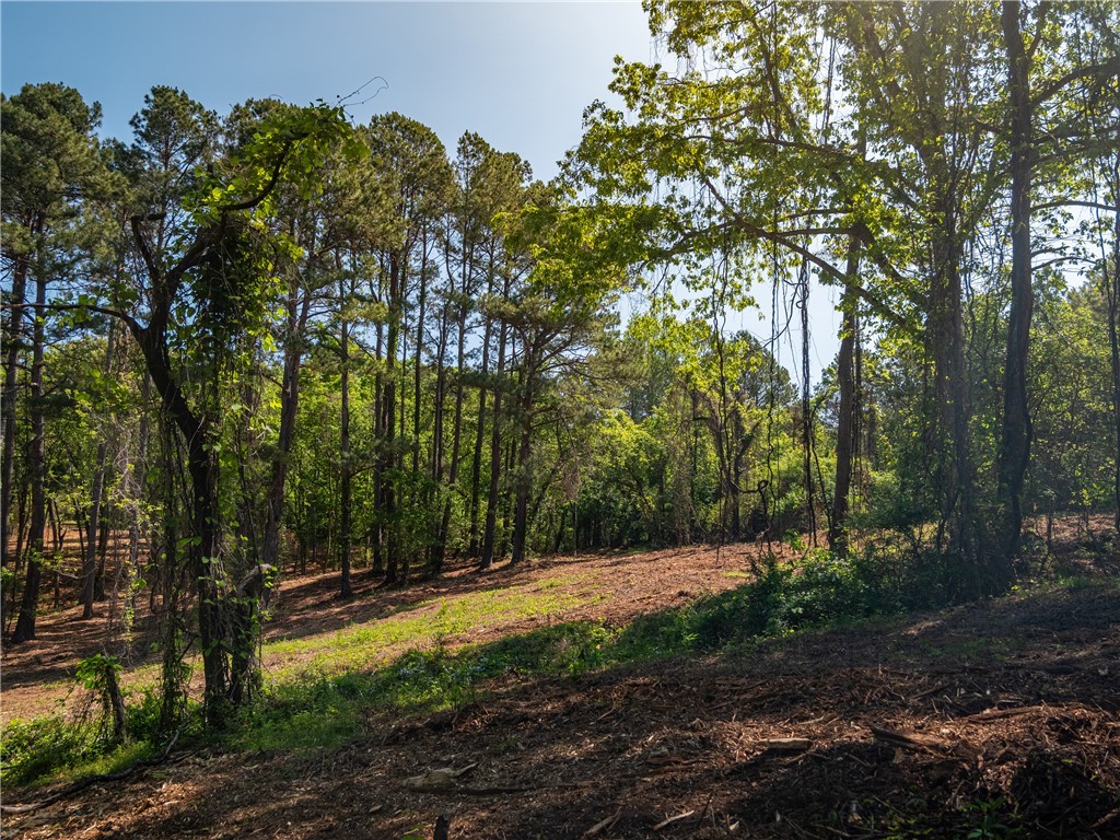 3 Moorefield Memorial Highway Liberty, SC 29657 - Photo 30 of 30