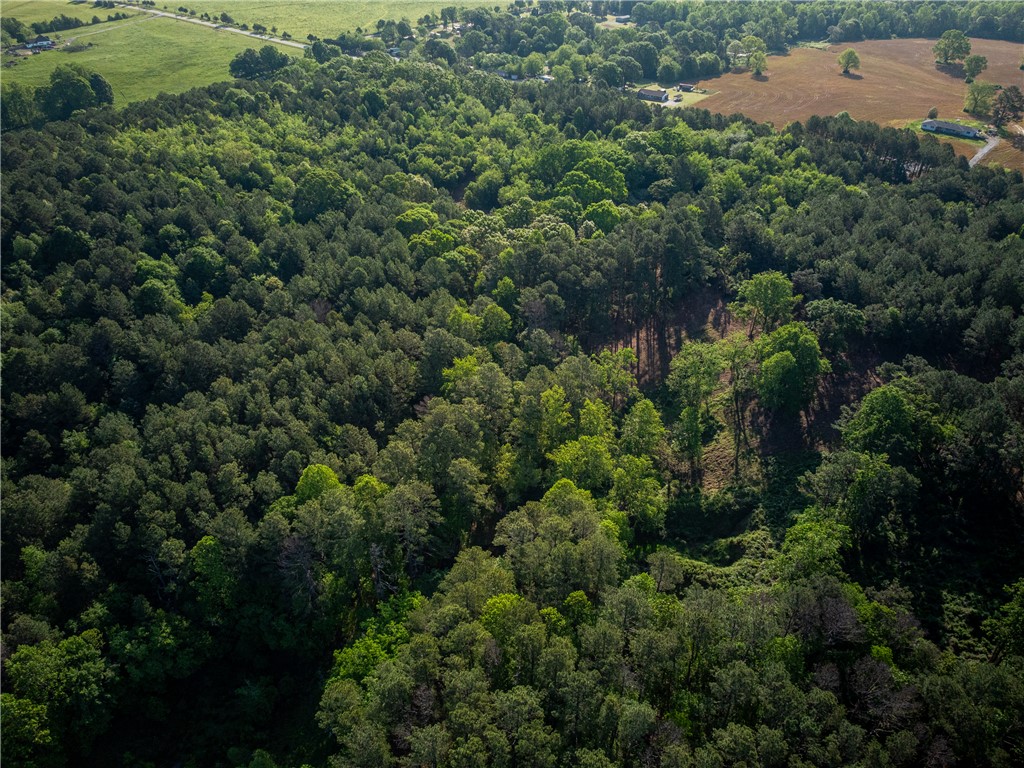 3 Moorefield Memorial Highway Liberty, SC 29657 - Photo 6 of 30