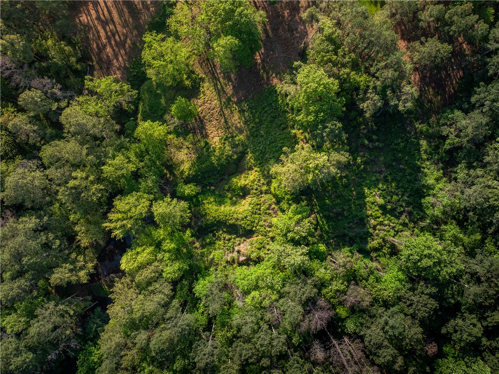 3 Moorefield Memorial Highway Liberty, SC 29657 - Photo 7 of 30