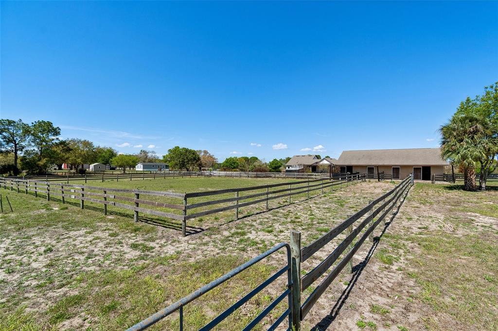 21210 Horse Ranch Road Mount Dora, FL 32757 - Photo 23 of 68