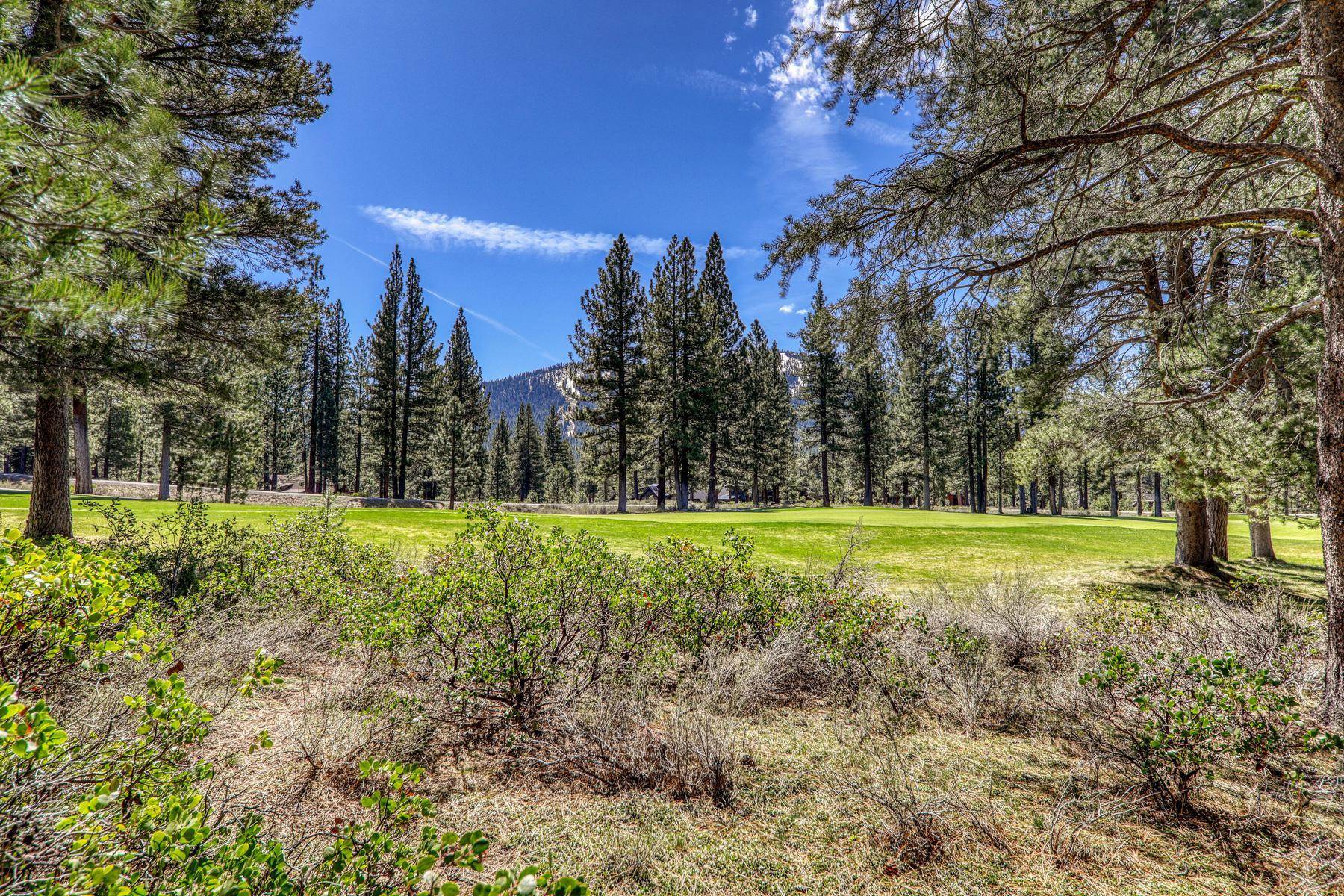 8860 George Whittell Truckee, CA 96161 - Photo 11 of 24