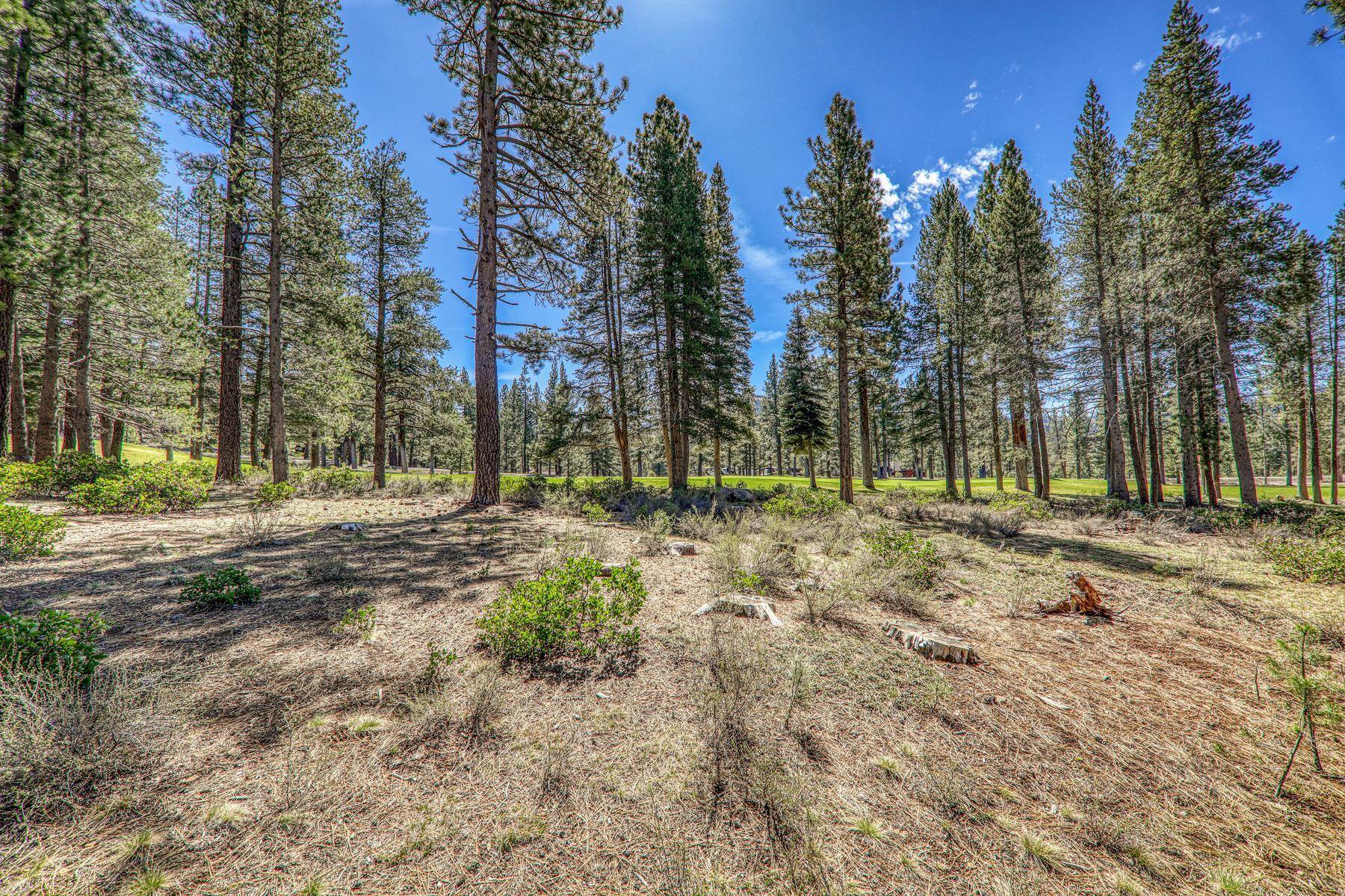 8860 George Whittell Truckee, CA 96161 - Photo 14 of 24