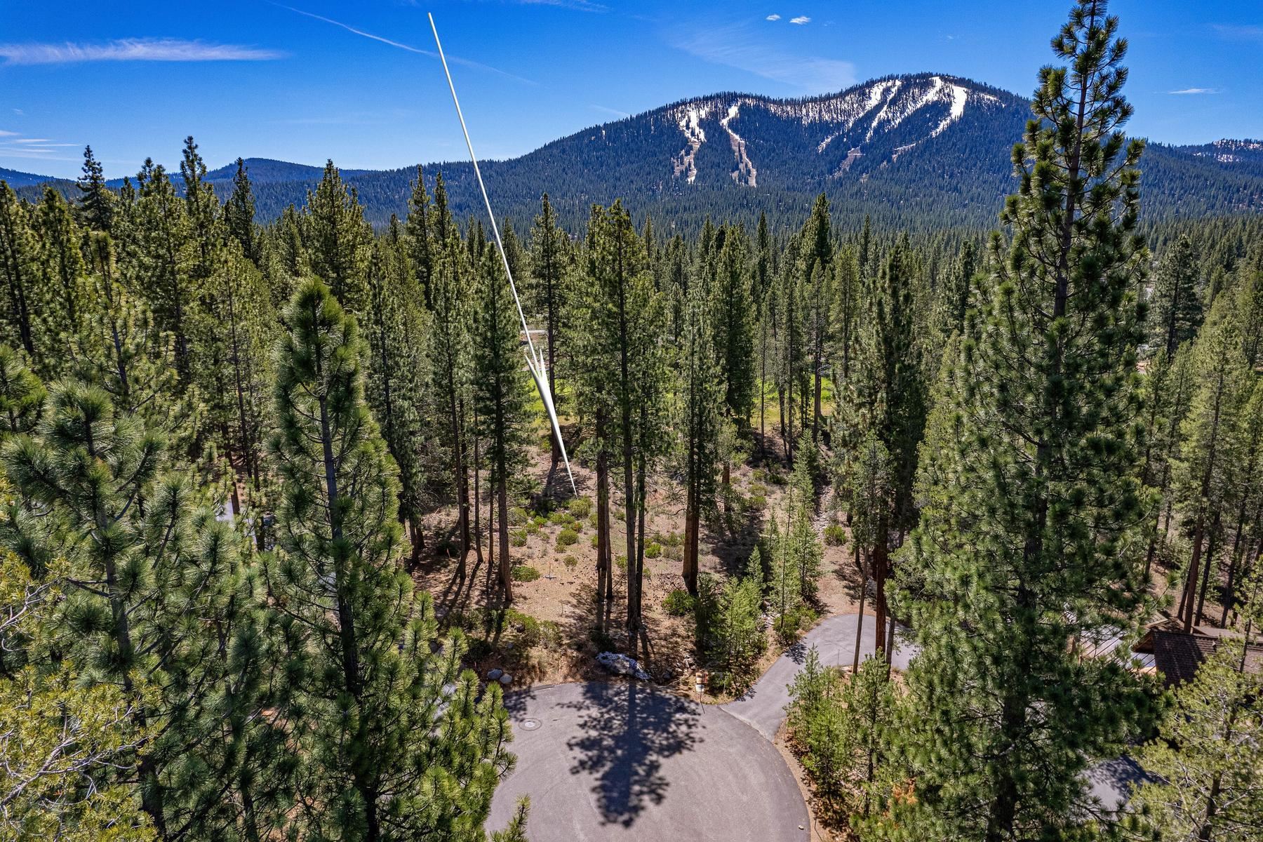 8860 George Whittell Truckee, CA 96161 - Photo 2 of 24