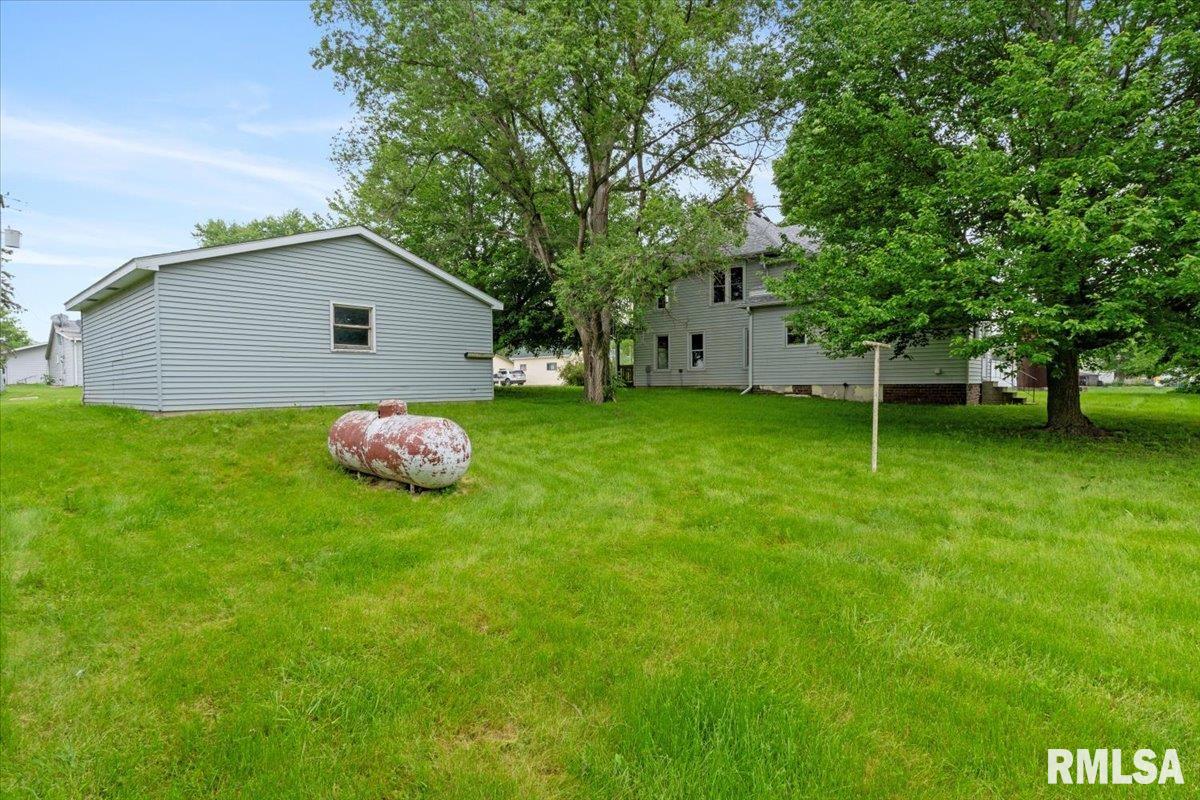 3341 149th Avenue Lynn Center, IL 61262 - Photo 6 of 37