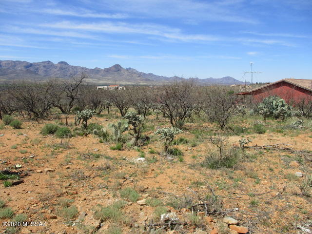 1659 Circulo Puerto, Unit 14 Rio Rico, AZ 85648 - Photo 3 of 8