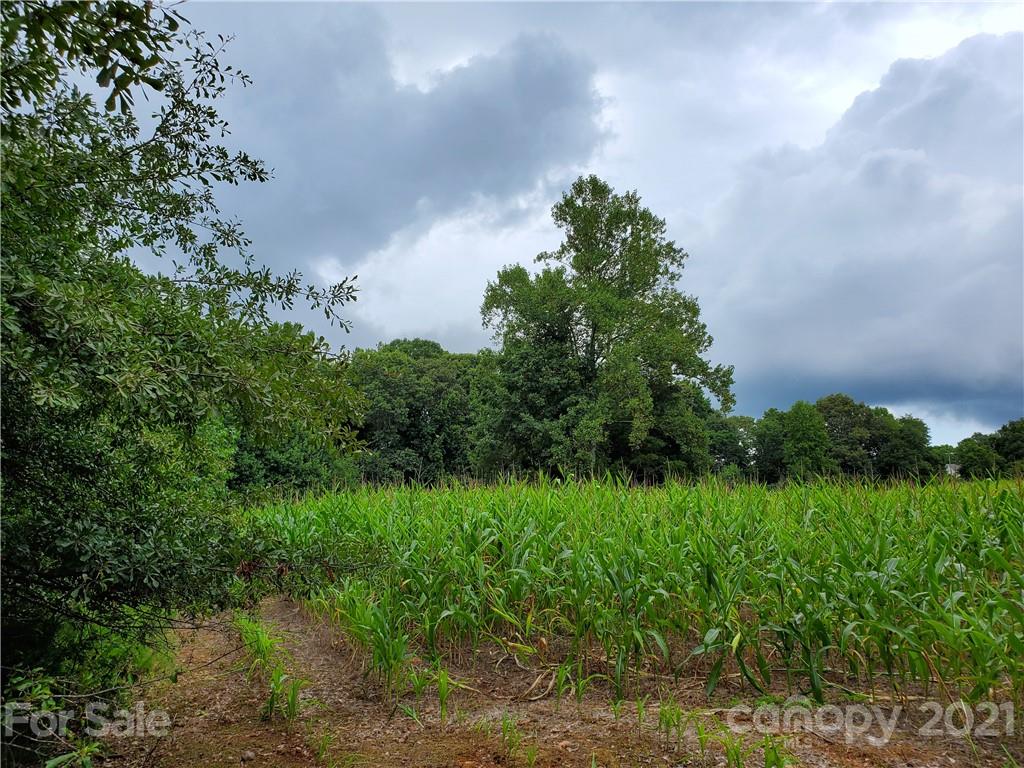 2850 Toney Road Lawndale, NC 28090 - Photo 1 of 28 Gallery Image 1