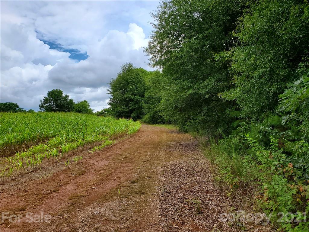 2850 Toney Road Lawndale, NC 28090 - Photo 14 of 28 Gallery Image 14