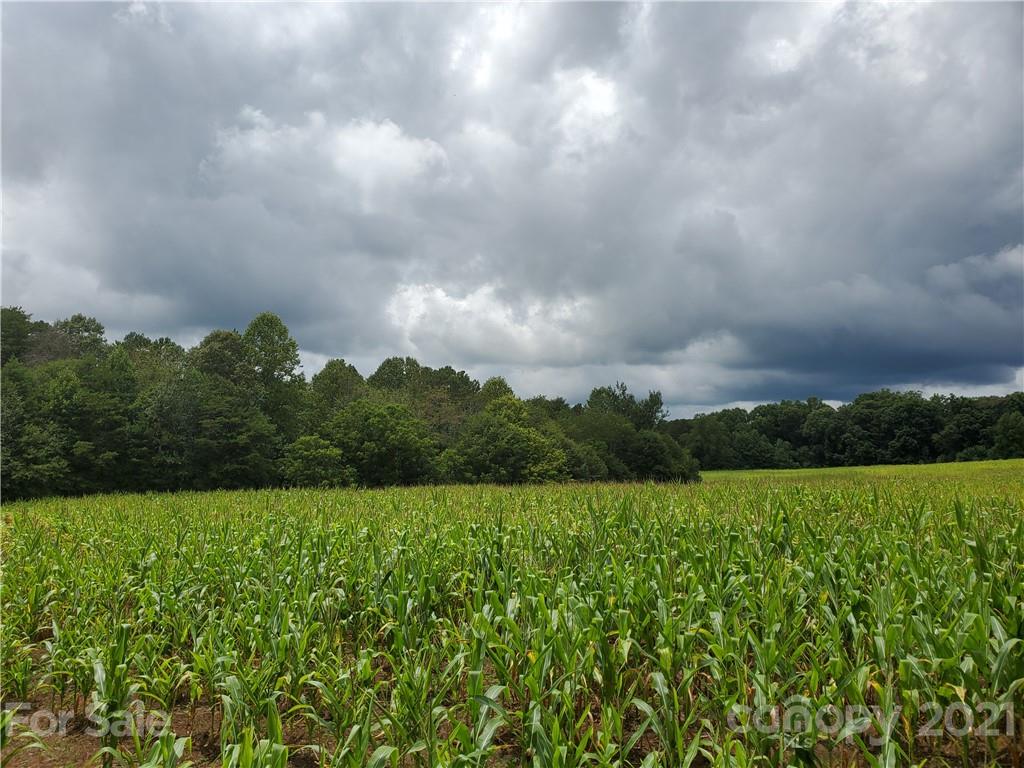 2850 Toney Road Lawndale, NC 28090 - Photo 19 of 28 Gallery Image 19