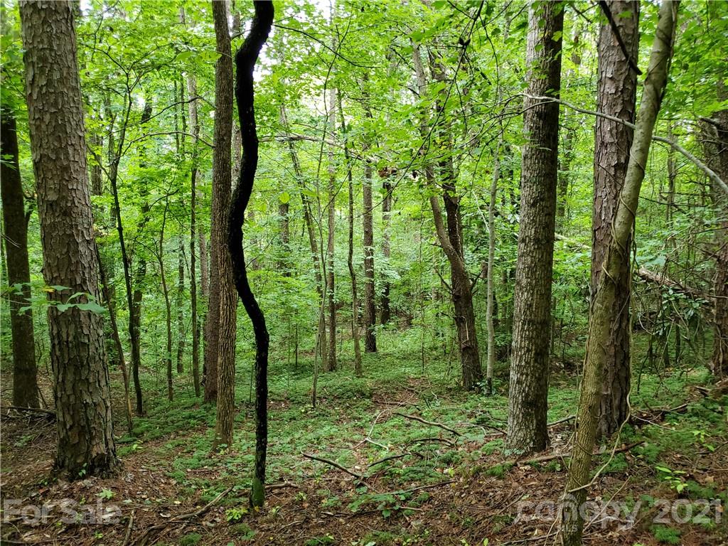 2850 Toney Road Lawndale, NC 28090 - Photo 20 of 28 Gallery Image 20