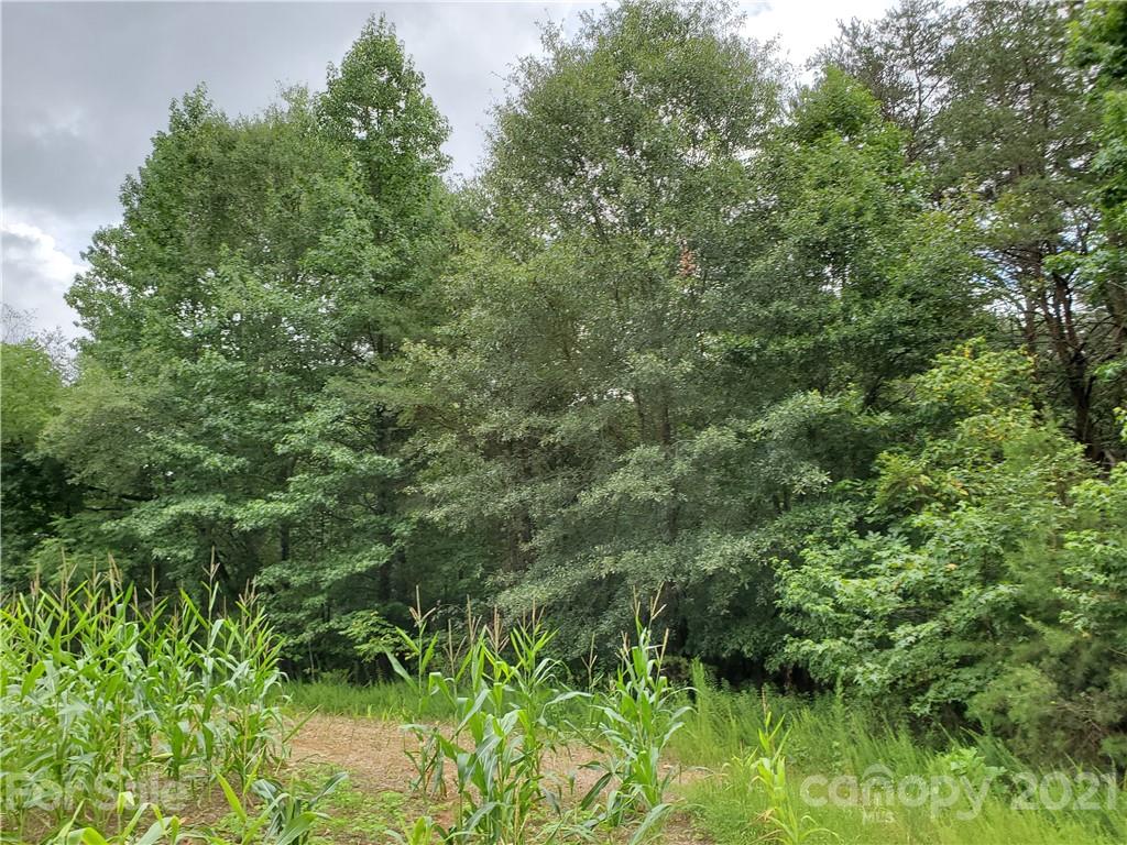 2850 Toney Road Lawndale, NC 28090 - Photo 3 of 28 Gallery Image 3
