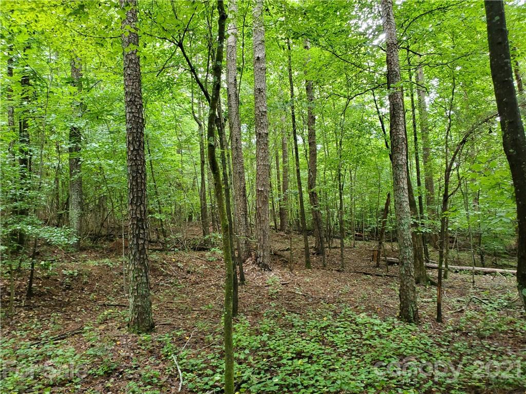 2850 Toney Road Lawndale, NC 28090 - Photo 23 of 28 Gallery Image 23