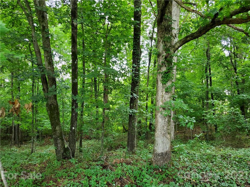 2850 Toney Road Lawndale, NC 28090 - Photo 25 of 28 Gallery Image 25