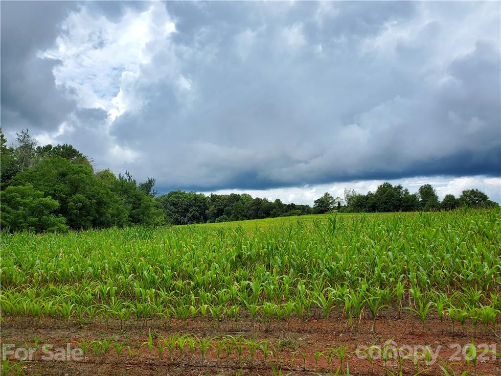 2850 Toney Road Lawndale, NC 28090 - Photo 26 of 28 Gallery Image 26