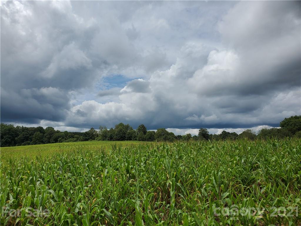 2850 Toney Road Lawndale, NC 28090 - Photo 5 of 28 Gallery Image 5