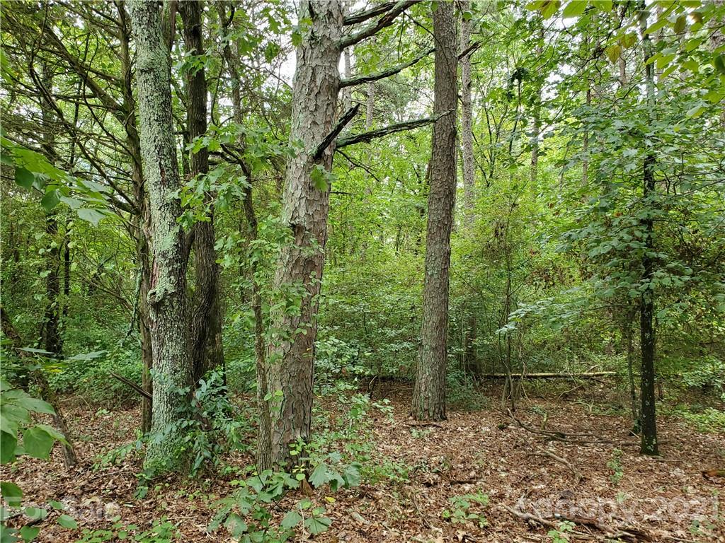 2850 Toney Road Lawndale, NC 28090 - Photo 6 of 28 Gallery Image 6