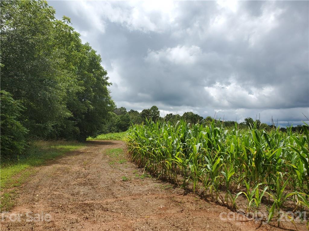 2850 Toney Road Lawndale, NC 28090 - Photo 7 of 28 Gallery Image 7
