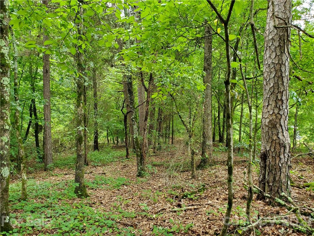 2850 Toney Road Lawndale, NC 28090 - Photo 8 of 28 Gallery Image 8