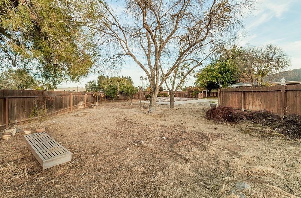 5662 North McCall Avenue Clovis, CA 93619 - Photo 27 of 34 a view of a backyard with large trees and wooden fence