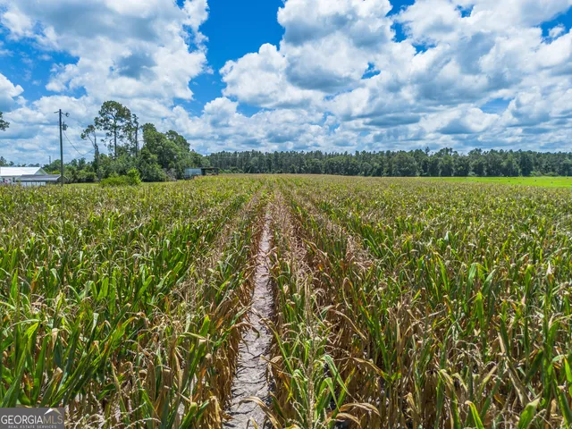 a view of an ocean and beach