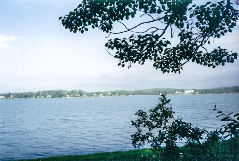 21 Pineo Point Road Harrington, ME 04643 - Photo 1 of 10 Photo