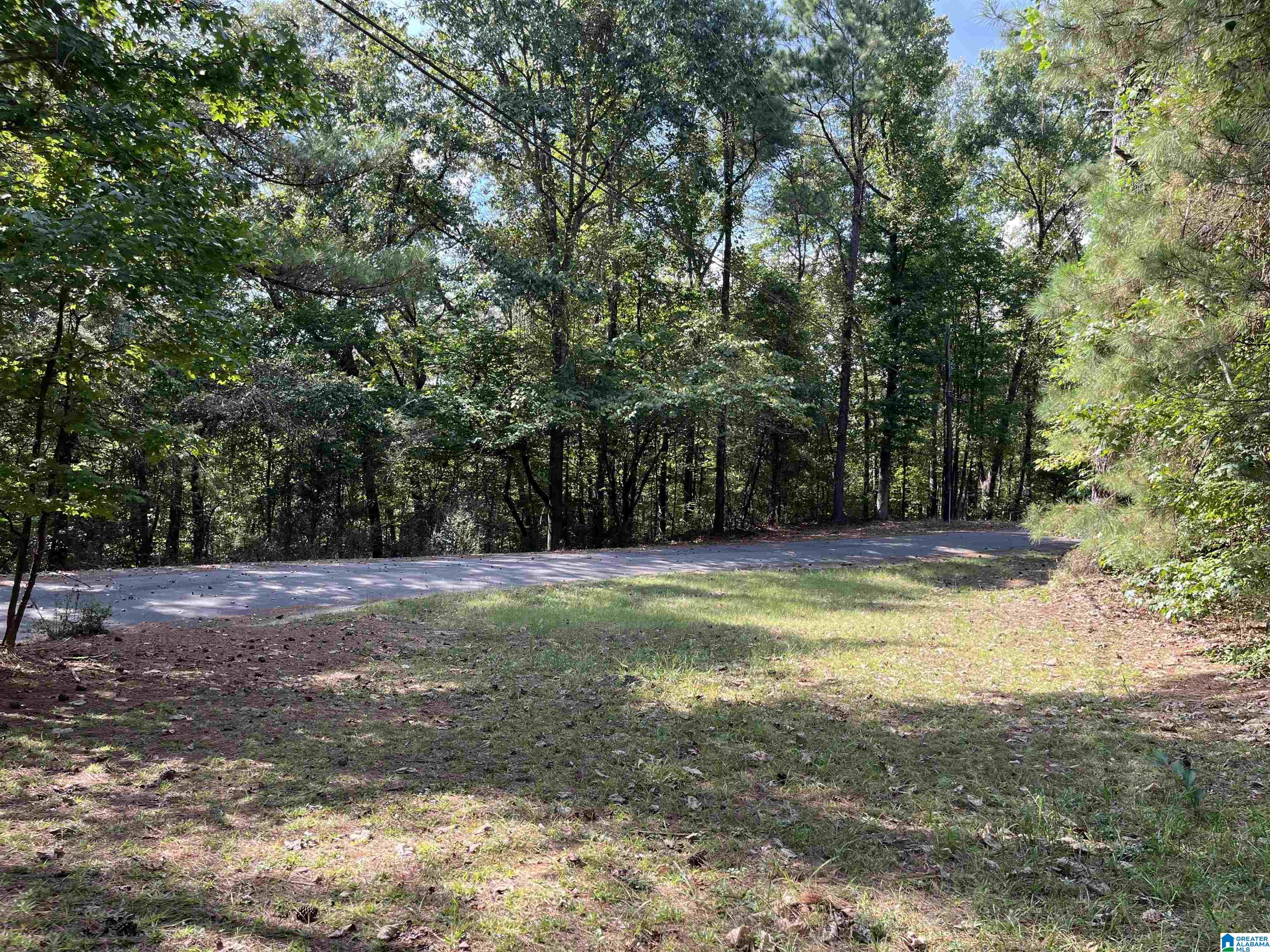 9324 Sunview Road, Unit 1 Warrior, AL 35180 - Photo 1 of 3