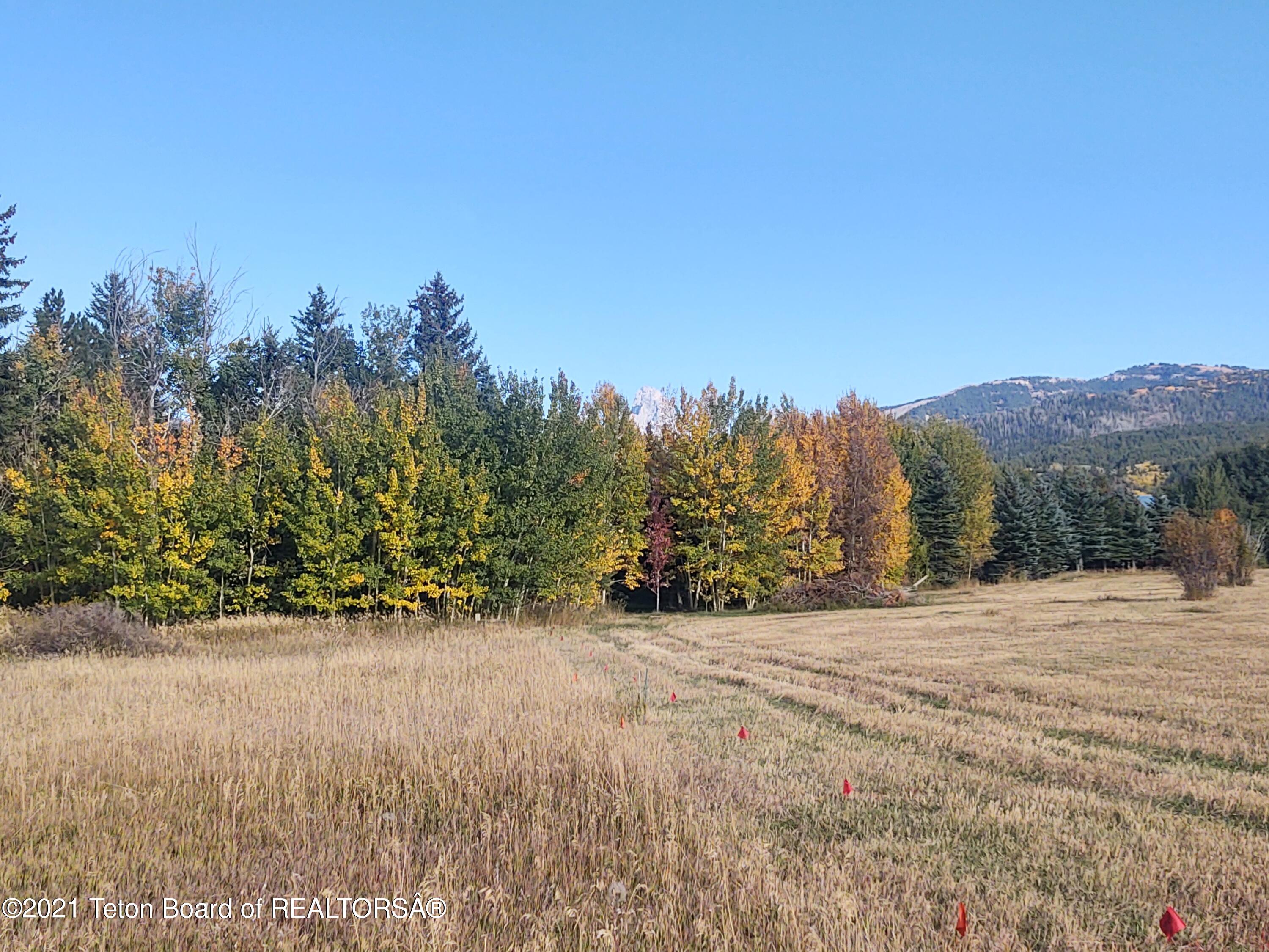 445 Targhee Towne Road Alta, WY 83414 - Photo 3 of 16 East Fall