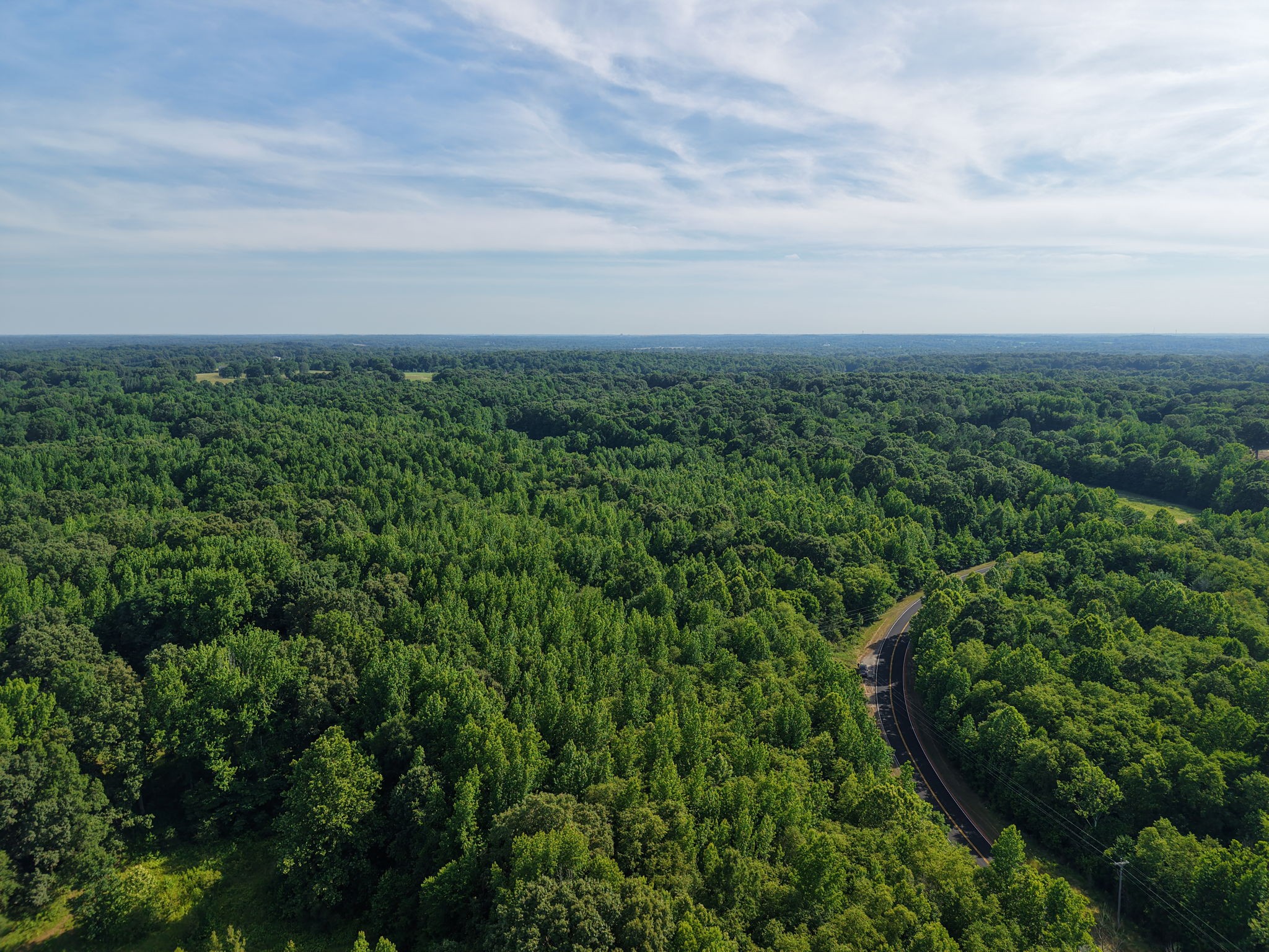 0 Concord Cades Road Trenton, TN 38382 - Photo 4 of 7