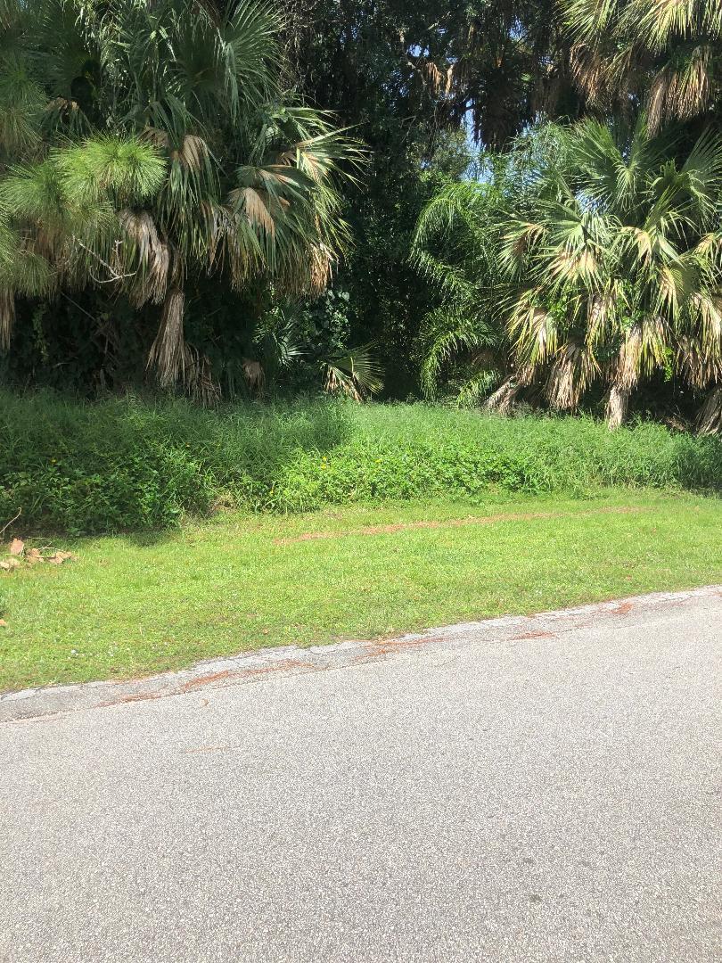 7008 Eden Road Fort Pierce, FL 34951 - Photo 1 of 2 a view of a house with a big yard and palm trees