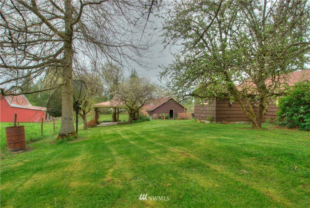 4079 South Pass Road Everson, WA 98247 - Photo 22 of 35 a view of a big yard with plants and large trees