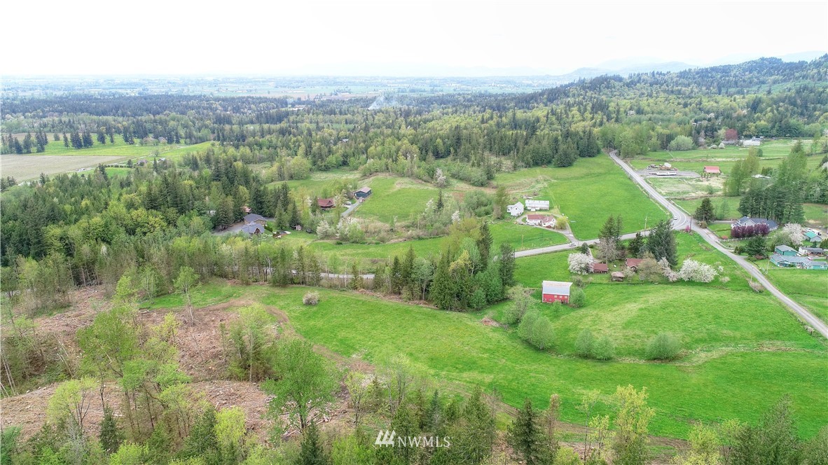 4079 South Pass Road Everson, WA 98247 - Photo 31 of 35 a view of a lush green field