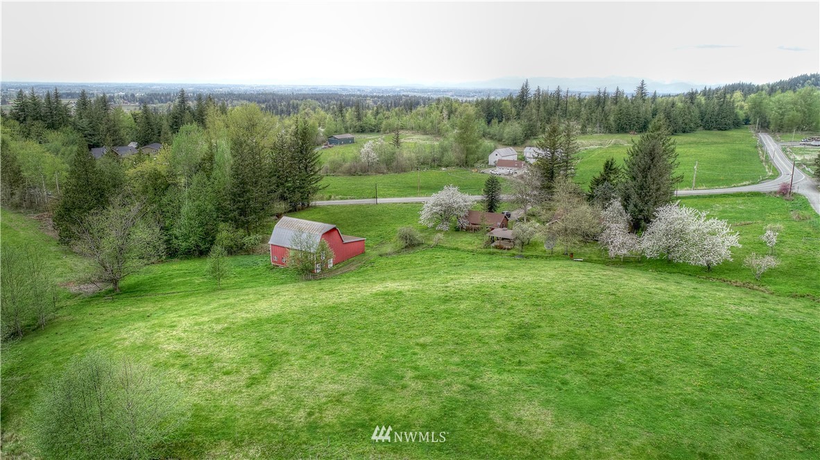 4079 South Pass Road Everson, WA 98247 - Photo 34 of 35 a backyard of a house with lots of green space and deers