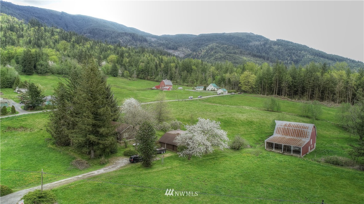 4079 South Pass Road Everson, WA 98247 - Photo 35 of 35 a view of a lush green field with mountains in the background