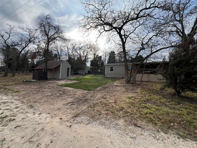 a view of a backyard with a tree