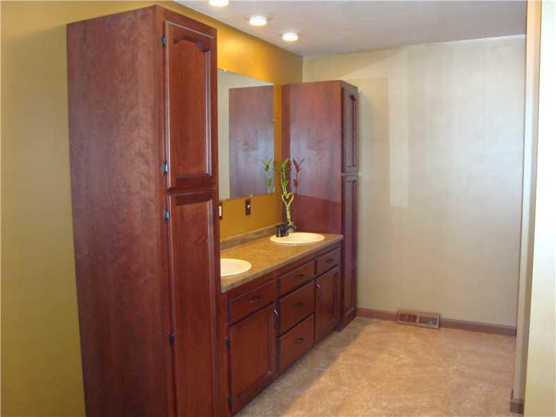438 Ridge Road Brownsville, PA 15417 - Photo 8 of 13 Master Bath/Spa.