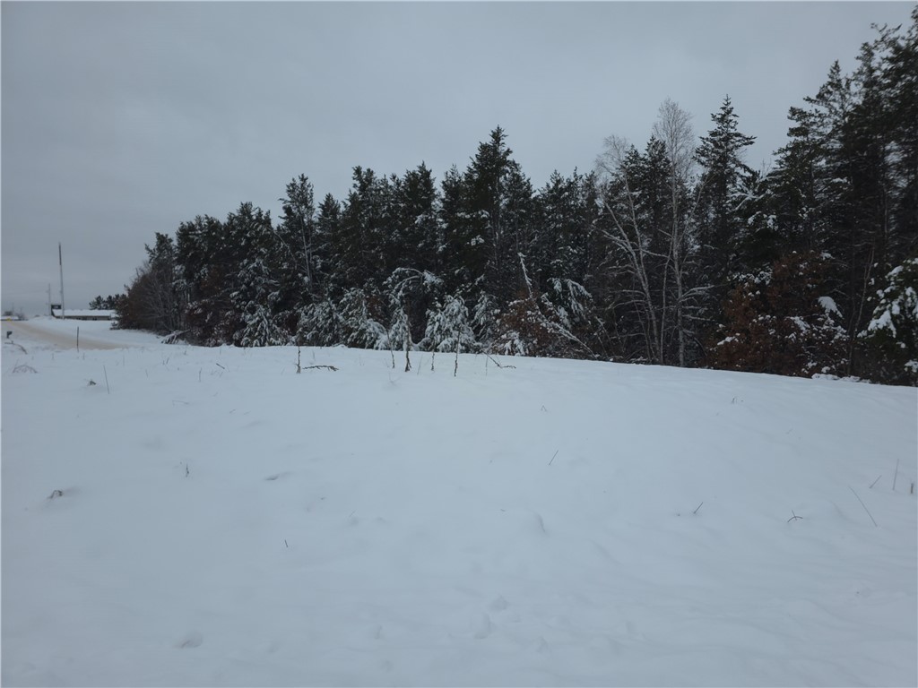 0 Liesch Road Trego, WI 54888 - Photo 16 of 27