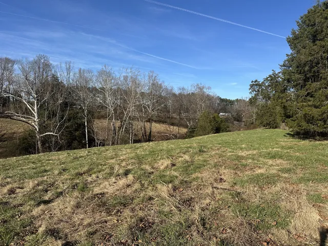 a view of a yard with trees in the background