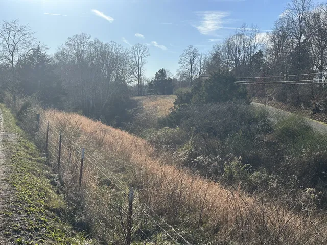 a view of a lake from a yard